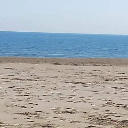 Sunny&beach In