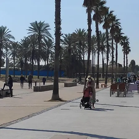 Sunny&beach In